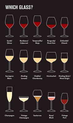 different types of wine glasses are shown in this chart, which one is the most important?