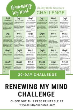 the 30 day bible challenge with text that reads, rereaving my mind challenge