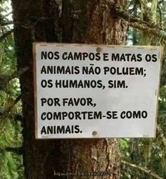 a sign posted on the side of a tree that says, no camps e matas os animas no polumen