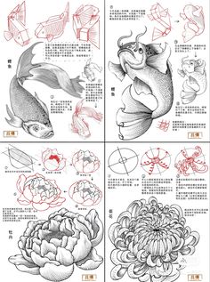 four different types of fish and flowers with chinese characters in the middle one is black and white