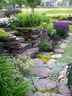 an image of a garden with rocks and plants in it on instagrams for pinterest