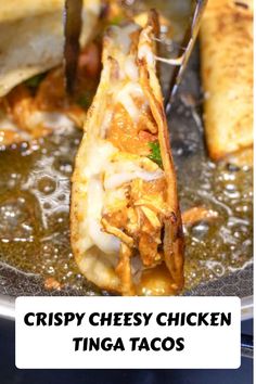 Crispy Cheesy Chicken Tinga Tacos Mexican Chicken Tacos Authentic, Cantina Crispy Chicken Taco, Chicken Tacos Crispy, Deep Fried Chicken Tacos, Pan Fried Chicken Tacos, Crispy Cheesy Chicken Tacos, Fried Chicken Tacos Corn Tortillas, Fried Chicken Tacos Recipe, Crunchy Chicken Tacos