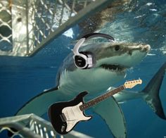 a shark with headphones and a guitar in the water