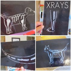 four different pictures of chalk drawings of dogs and cats on blackboards with white writing