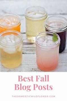 four different types of drinks in mason jars with text overlay that says 7 easy shrub recipes