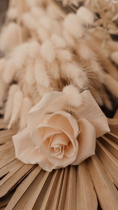 a white rose sitting on top of a wooden table next to some feathers and other things