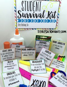 the student survival kit is organized and ready for students to use it in their classroom