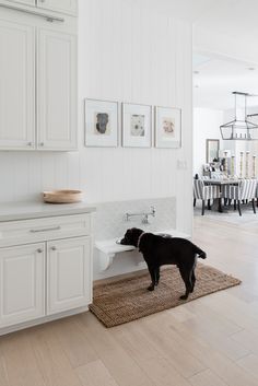 a black dog standing on top of a rug in a kitchen next to white cabinets