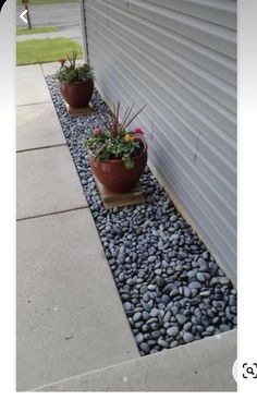 two potted plants sitting on the side of a house next to a sidewalk with gravel