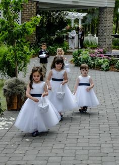 Shop Online Flower Girl Dresses for Wedding | 317 Styles, All Sizes/Colours, Page 3 Kids Formal Dresses, Full Gown, Tulle Flower Girl Dress, Lowcountry Wedding, Rent Dresses, Maid Of Honour Dresses, Tulle Flower Girl, Wedding Dresses With Flowers, Girls Pageant Dresses