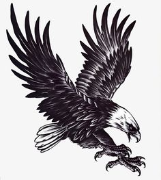 an eagle is flying with its wings spread out and talons extended to the side