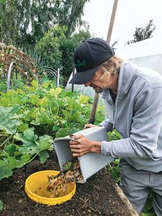 a man is tending to plants in the garden