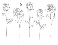 four roses are shown in black and white, with one single flower on the left side