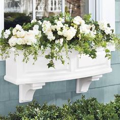 a window box filled with white flowers and greenery