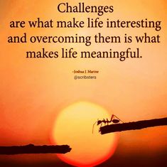 Challenge Quotes About Challenges Inspirational, Challenge Accepted Quotes, Lifes Challenges Quotes, Better Not Bitter, Thanksgiving Quotes Inspirational, Challenges Quotes