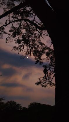 the moon is setting behind a tree with no leaves on it and clouds in the background