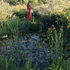 a woman standing in the middle of a pond surrounded by tall grass and wildflowers