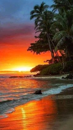 the sun is setting over an ocean with palm trees