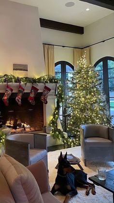 a dog sitting on the floor in front of a fireplace with christmas stockings hanging over it