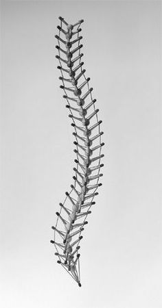 a black and white photo of a fish skeleton