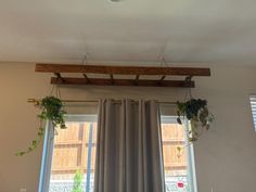 two plants are hanging from the ceiling in front of a window with drapes and curtains