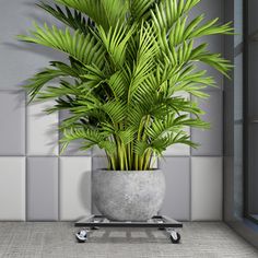 a potted plant sitting on top of a metal dolly in a room with tiled walls