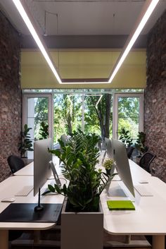 an office with plants and computers on the desks