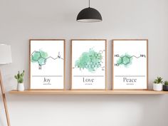 three posters with the names of different types of things displayed on a shelf in a living room