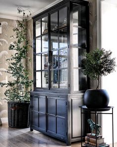 a black china cabinet sitting next to a potted plant on top of a wooden table