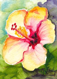 a watercolor painting of a pink and yellow flower