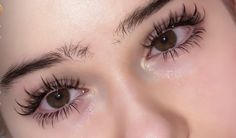 Lash Extensions Alternative, Thick Eyelashes Aesthetic, Brown Eye Lash Extensions Styles, Doe Eyes Eyelashes, Long Curly Lashes Natural, Doe Eye Lashes Extensions, Bottom Lash Clusters, Unique Lash Extensions, Asian Eyelash Extensions Styles