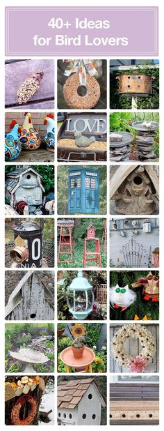 various pictures of bird houses and other things that are made out of old wood, with text overlay reading 40 ideas for bird lovers