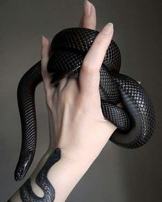 a woman's hand holding a black snake wrapped around her wrist, with tattoos on it