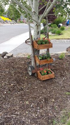 a tree that is next to a road with some flowers in the planters on it