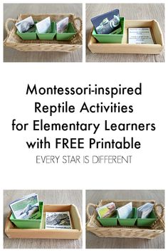 monteri - inspired activities for elementary learners with free printables to help them learn