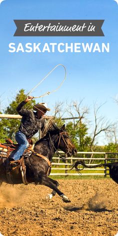 a man riding on the back of a black horse