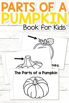 Pumpkin Parts, Parts Of A Pumpkin, Planting Pumpkins, Pumpkin Books, Pumpkin Craft, Printable Books, Pumpkin Crafts, Pumpkin Theme