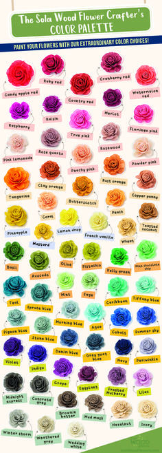 a poster with different colors of flowers on it's sides and the names of each flower