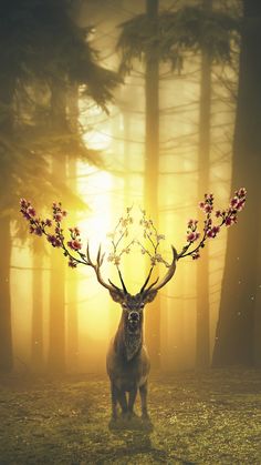 a deer with flowers on its antlers standing in the grass near trees at sunset