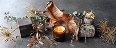 a candle and some plants on the ground