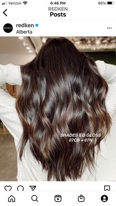 Brassy Hair, Redken Hair Color, Redken Hair Products, Color Balayage, Brown Hair Inspo, Hair Color Formulas, Hair Toner, Hair Techniques, Brown Hair Balayage