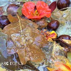 some leaves and flowers are sitting on ice