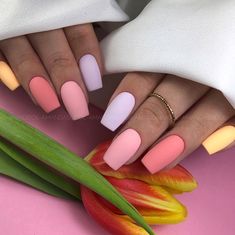 Pink White Nails, Pastel Nails Designs, May Nails, Matte Nails Design, Nice Nails, Gel Nail Colors, Acrylic Nails Coffin Short, Short Acrylic Nails Designs