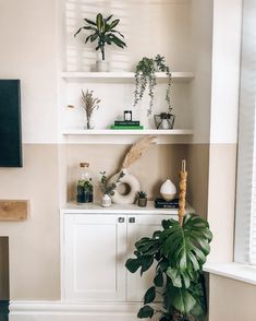 a living room filled with lots of plants on top of bookshelves next to a window