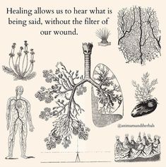 an illustration with the words healing allows us to hear what is being said, without the filter of our wound