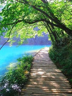 a wooden path leading to a lake surrounded by green trees and blue water in the background