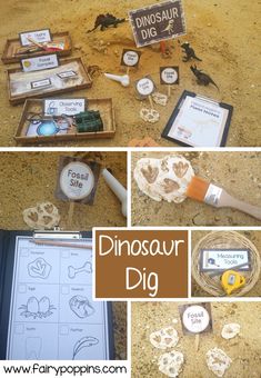 the dinosaur dig is organized and ready to be used for learning about dinosaurs with this printable activity