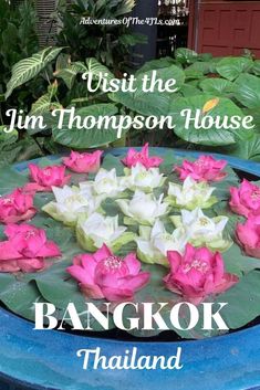 pink and white flowers floating on top of a blue potted planter with the words, visit thejunn thompson house bangkok