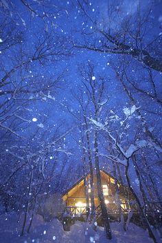 a cabin in the woods is lit up at night with snow falling on the ground