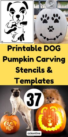 pumpkin carving stencils and templates for dogs, cats and pumpkins with the text printable dog pumpkin carving stencils & templates 37